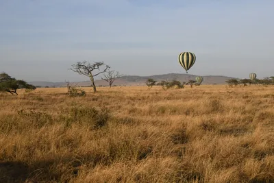 DSC_3769 (Large).JPG